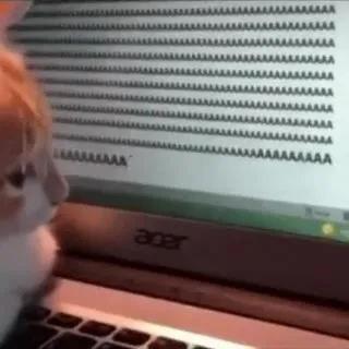 Кот смотрит на растущие ААА