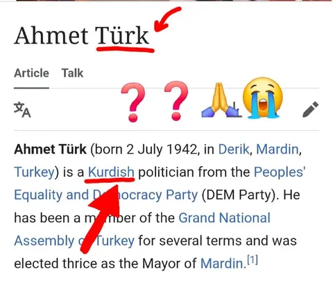 Ahmet Türk Kurdish Politician