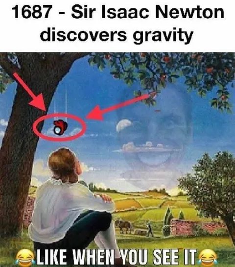 Newton Discovers Gravity