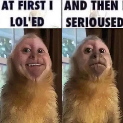 At First I Lold Then Serioused
