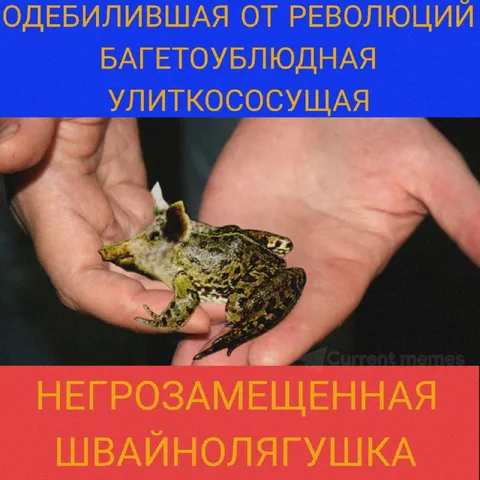 Швайно лягушка на ладони