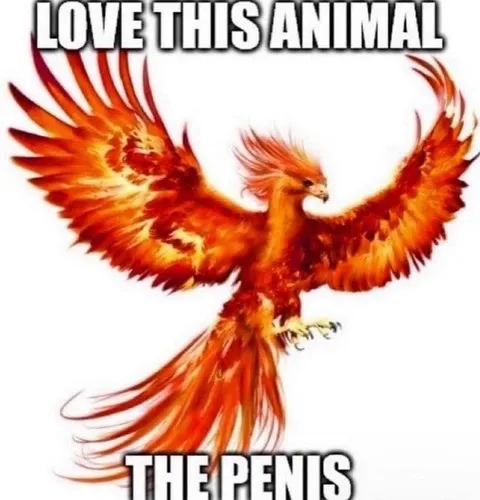 Love This Animal The Penis