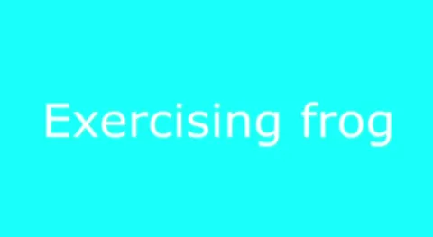 Exercising Frog Number Four