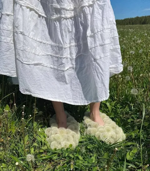 Пушистые тапочки на лугу