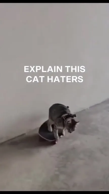 Cat Hates Skateboarding
