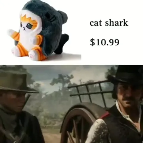 Cat Shark Costs Ten Ninety-Nine