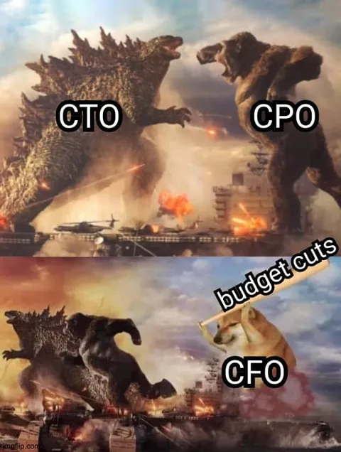 Budget Cuts CFO Doge