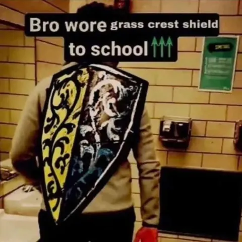 Bro wore grass crest shield to school