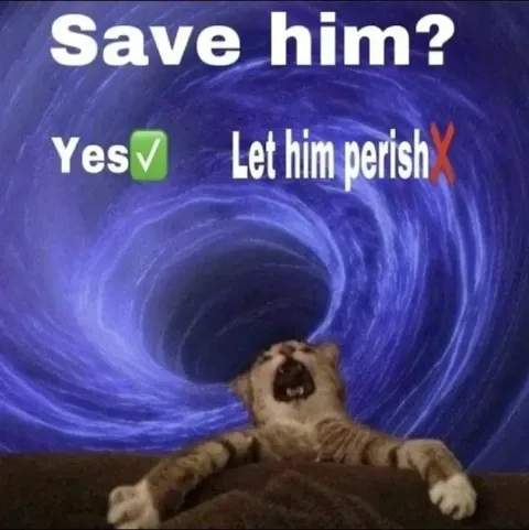 Save the Sleepy Cat