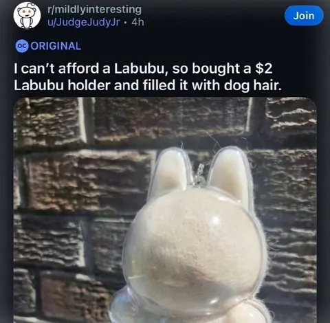 Dog Hair Labubu Holder