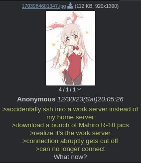 Accidentally SSH Into Work Server