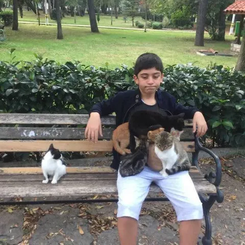 Мальчик на скамейке с кошками