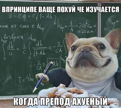 Когда препод ахуенный