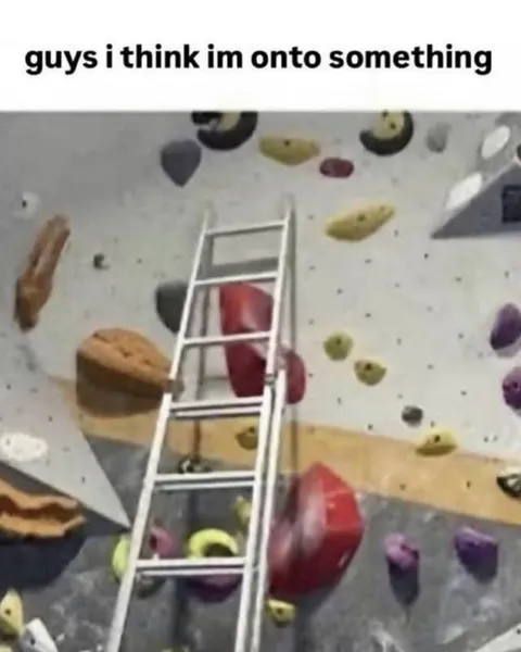 Climbing Wall Ladder Discovery