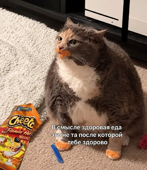 Здоровая еда после которой здорово