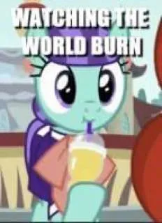 Watching the World Burn