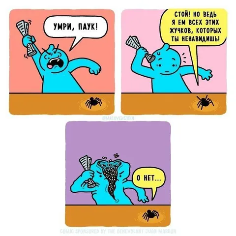 Жук съел паука