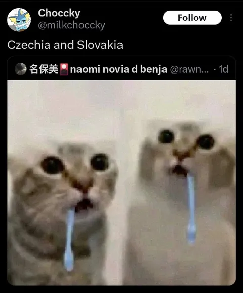 Czechia and Slovakia Cats