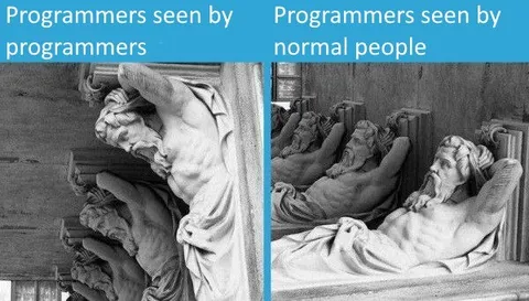Programmers Seen by Programmers