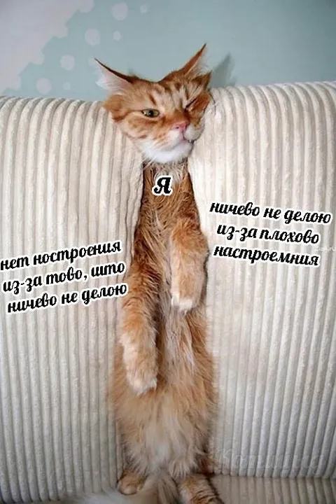 Нет настроения ничего не делать