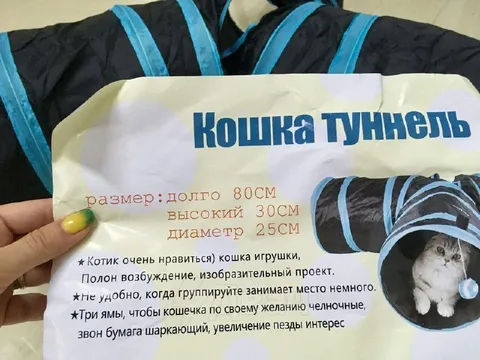 Кошка в туннеле