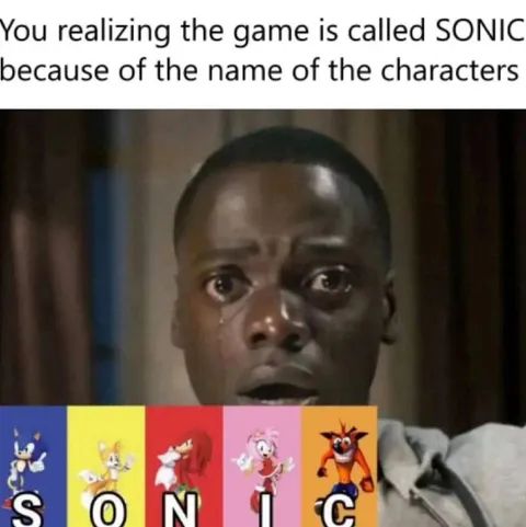 Realizing the Game Is Called Sonic