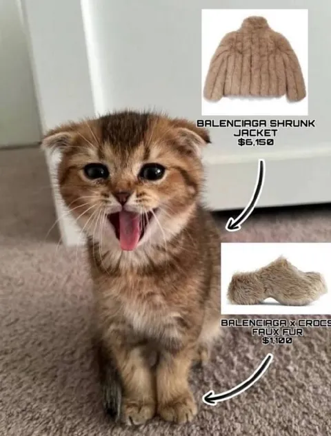 Luxury Cat Fur Shoes