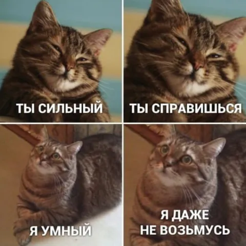 Сильный, умный и всё равно сдаюсь