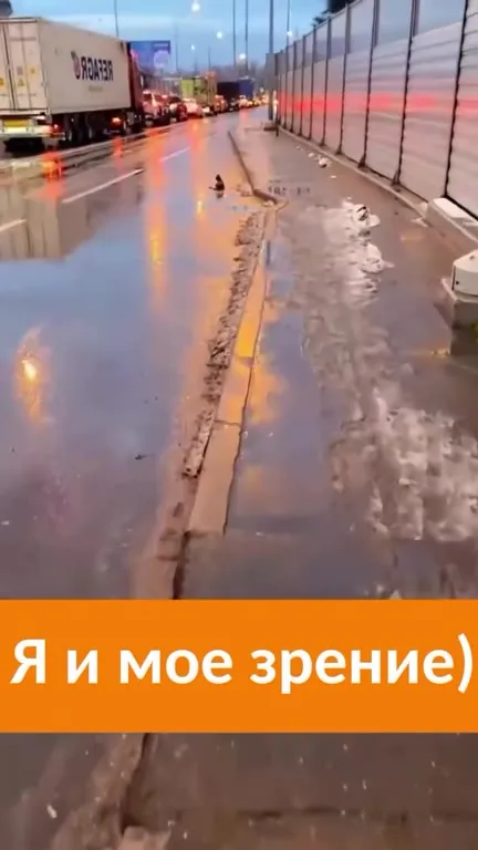Я и мое зрение на дороге