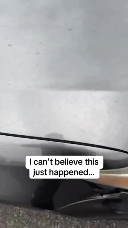 Sorry for Bumping My Car