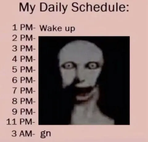 My Daily Schedule Meme