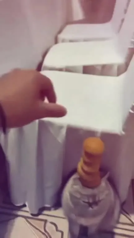 Кот с башней из булочек
