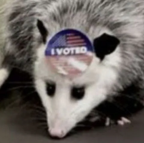 Opossum I Voted Sticker