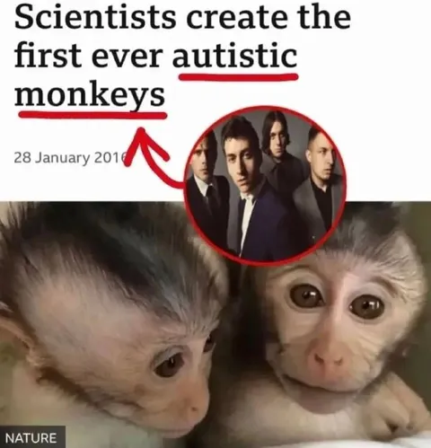 Autistic Monkeys Are The Strokes