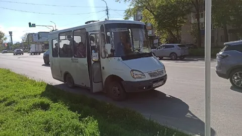Пазель на дороге