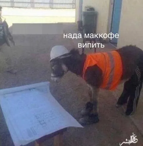 Нада маккофе выпить