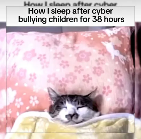 Cyberbullying Then Sleeping Peacefully