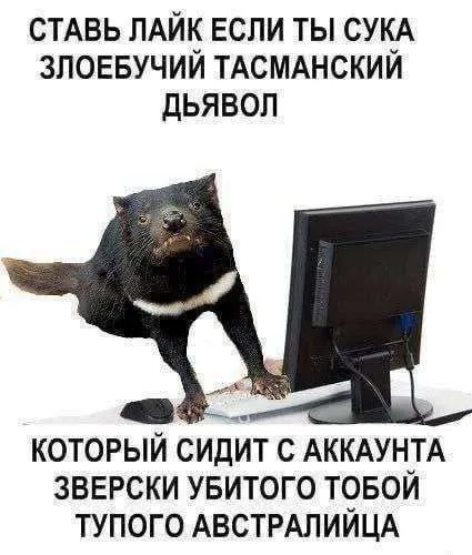 Злобный тасманский дьявол за компьютером