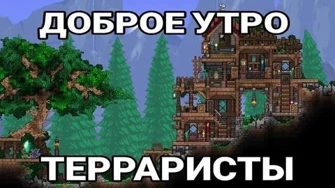 Доброе утро терраричты