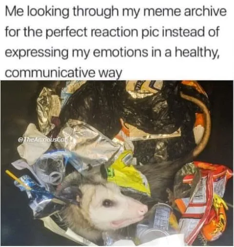 Meme Archive Reaction Pic