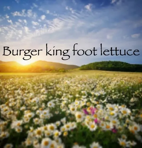 Burger King Foot Lettuce