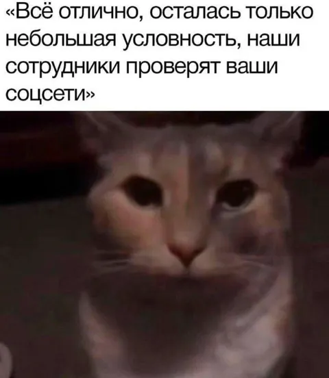 Проверка соцсетей сотрудниками