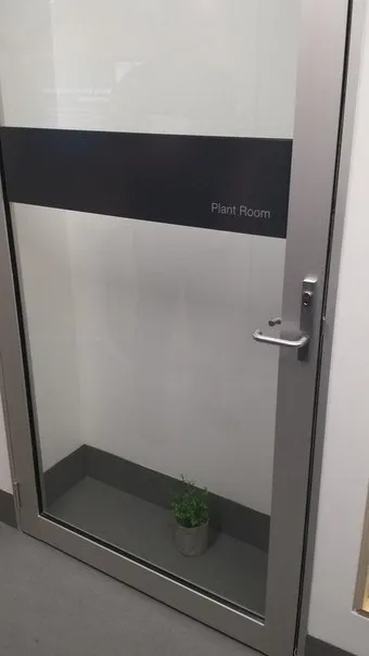 Plant Room With One Plant