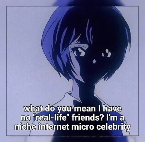 Niche Internet Micro Celebrity