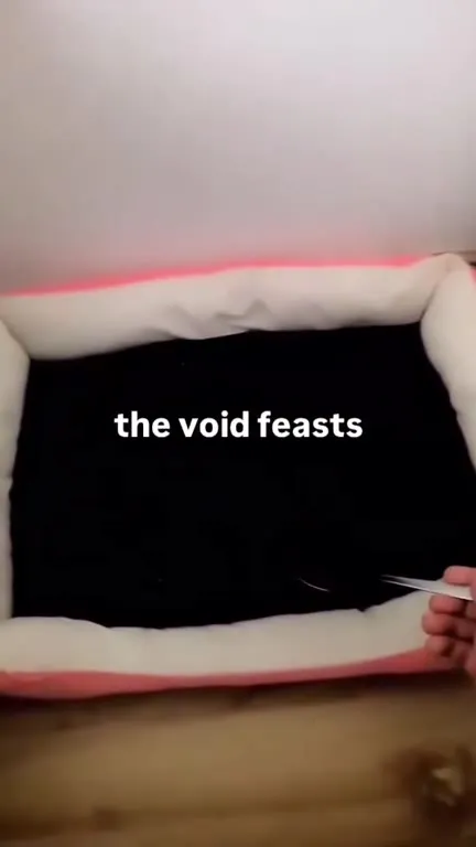 The Void Feasts
