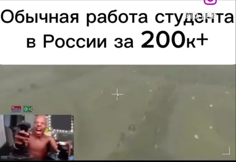Обычная работа студента за 200к