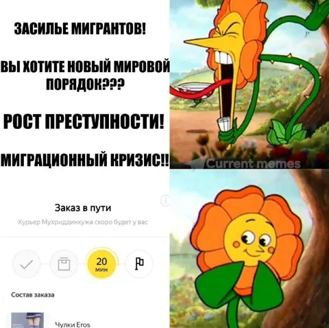 Мигранты и заказ в пути