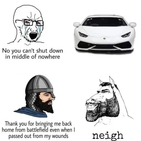 Luxury Car Rescues Viking