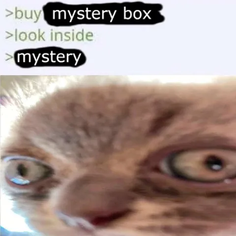 Mystery Box Cat