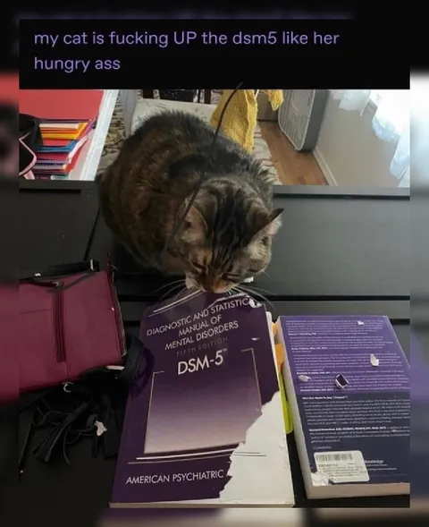 Cat Eats the DSM-5